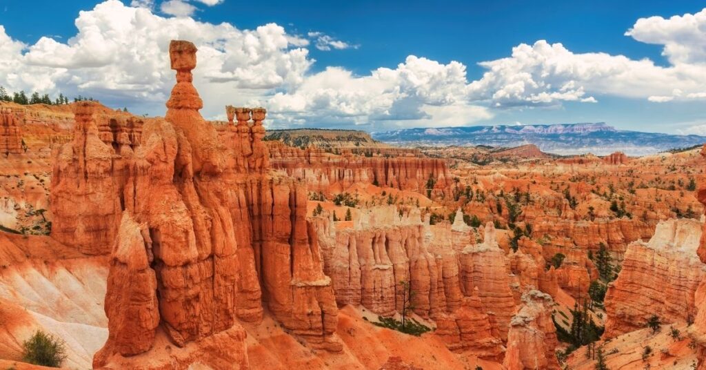 Tessera Parchi Nazionali USA: nel 2026 aumentano i prezzi. Ecco come risparmiare subito sull’America The Beautiful Pass 3