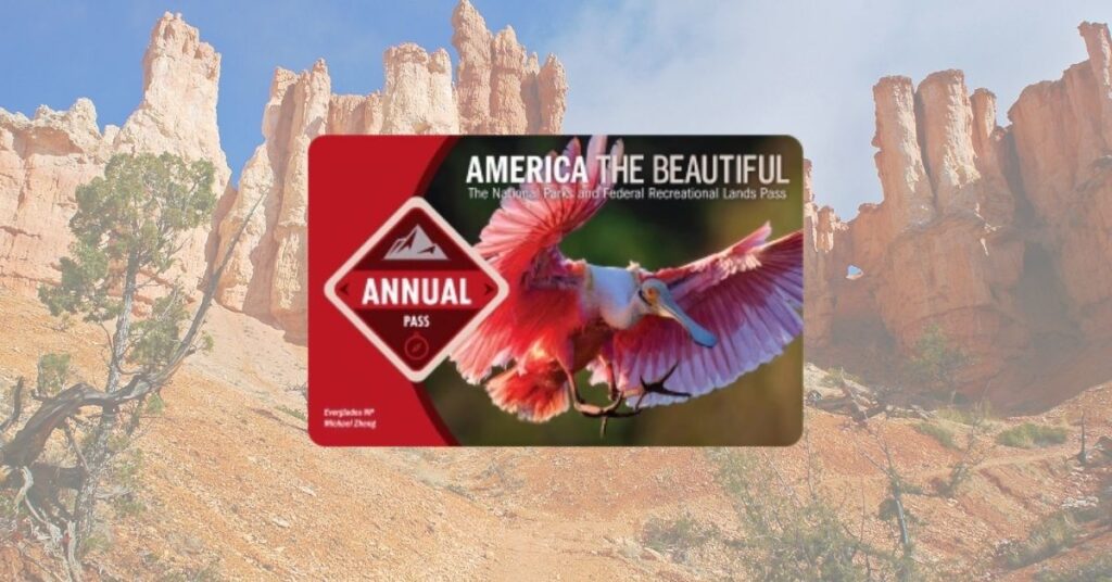 Tessera Parchi Nazionali USA: nel 2026 aumentano i prezzi. Ecco come risparmiare subito sull’America The Beautiful Pass 2 tessera parchi nazionali usa america the beautiful pass