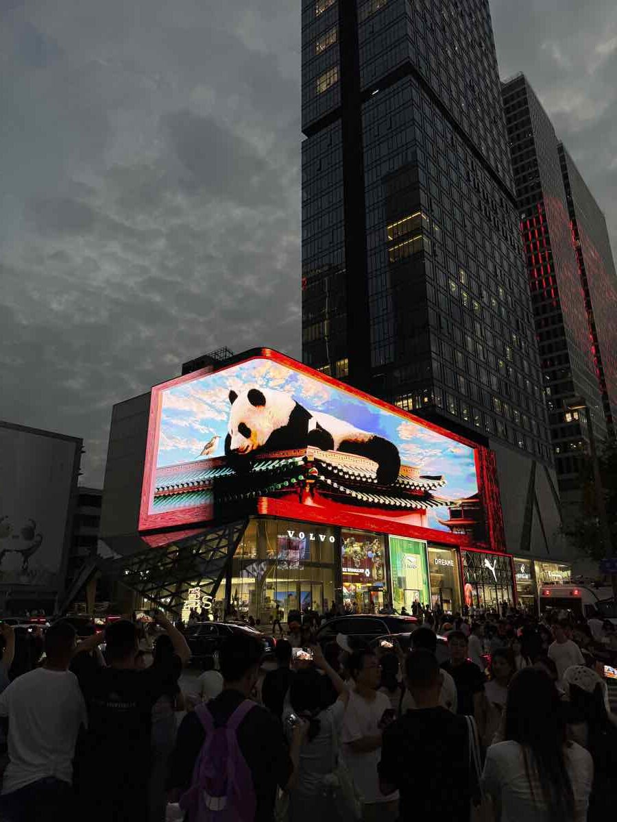 Chengdu cosa vedere: viaggio tra Leshan e Panda Giganti 7 Il maxischermo con il panda digitale a Chunxi Road, Chengdu
