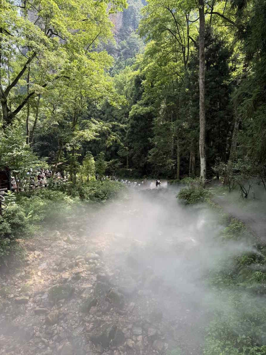 Zhangjiajie: Guida Completa per Visitare le Montagne di Avatar (2026) 4 Il sentiero lungo il Golden Whip Stream a Zhangjiajie