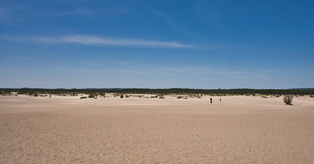 Pustynia Bledowska, il deserto sabbioso della Polonia soprannominato Sahara polacca
