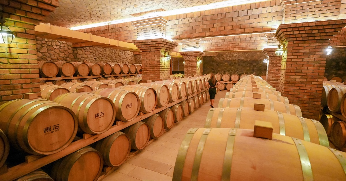 Vino cinese nel Ningxia: degustazioni ai piedi dei Monti Helan