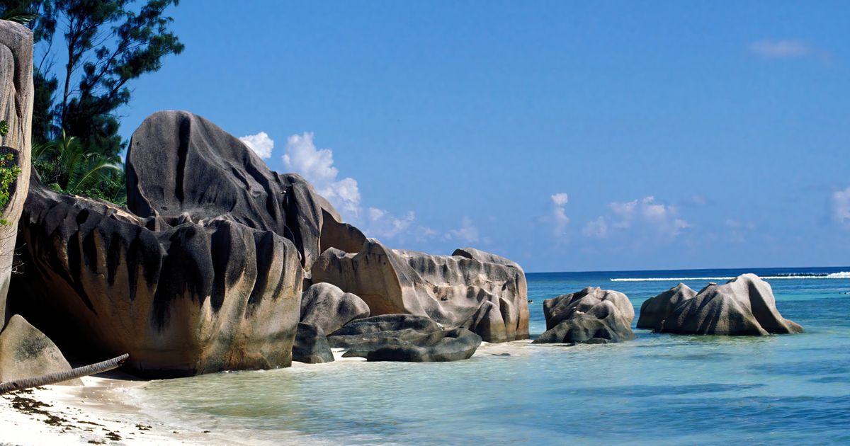 Cosa fare alle Seychelles oltre la spiaggia: trekking, coco de mer e tartarughe giganti 1 Cosa fare alle Seychelles oltre la spiaggia: trekking, coco de mer e tartarughe giganti