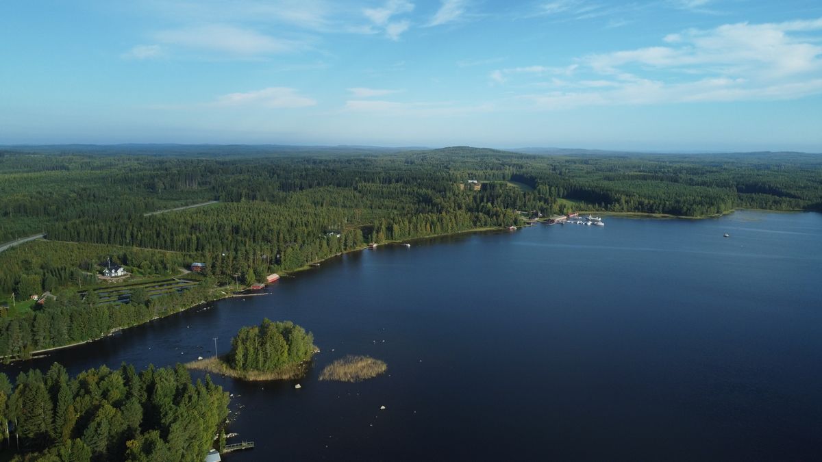 Lago circondato dai boschi in Finlandia visto dall'alto